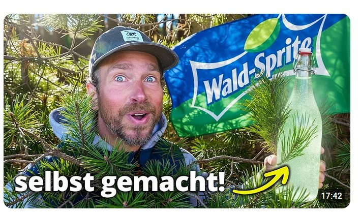 Sprite aus Kiefernnadeln: So machst du den fermentierten Powerdrink