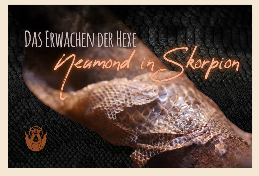 20.11.2025 Skorpion-Neumond: Das Erwachen der Hexe