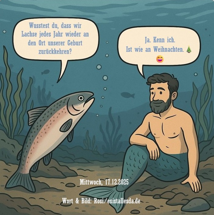 esistallesda.de ... Seit dem 15.12. hat unser aller-all-abendlicher Newsletter beschlossen, im Postfach zu übernachten – aus technischen Gründen, die auch mich nur mäßig erheitern 😉 Ich bin dran und melde mich, sobald wieder alles rundläuft. Danke für dein Verständnis. Bis dahin heißt es: selbst stöbern, suchen, finden – mein Blog ist ja jederzeit wach. :-)