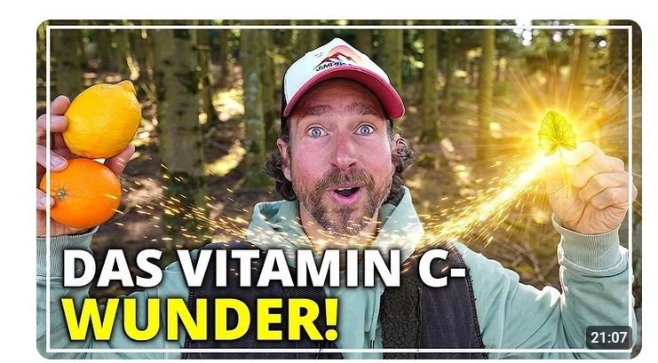 Besser als Zitrone & Orange: Das VITAMIN-C-Wunder vor deiner Tür! Timo G.