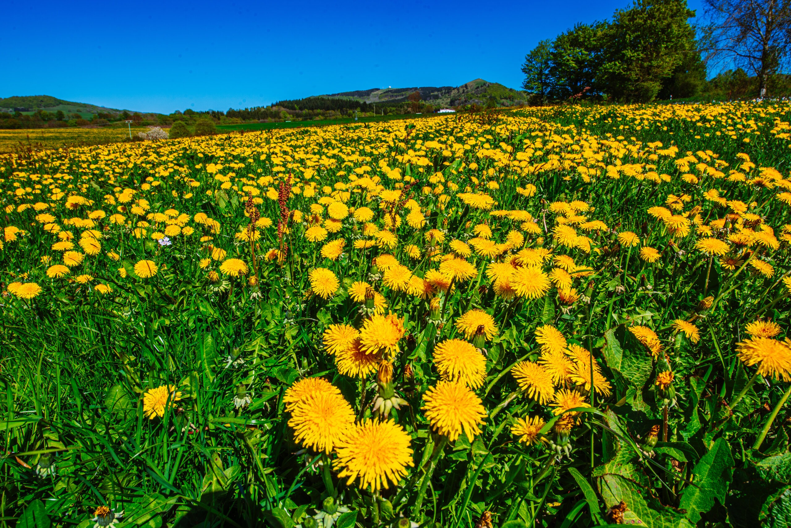 es ist alles da . de