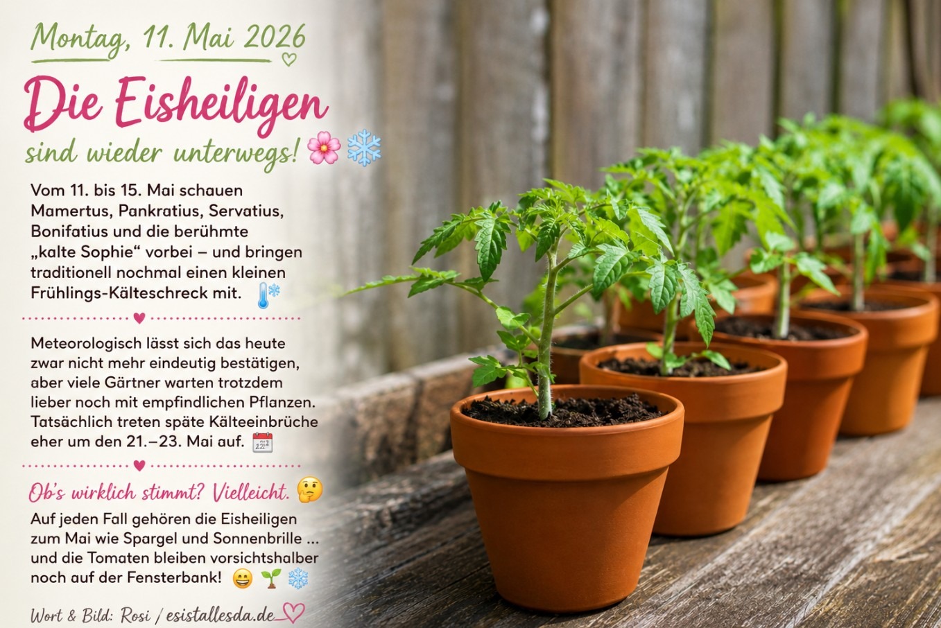 es ist alles da de ... Eine Mutter ersetzt jedem Menschen die Welt – aber niemand kann eine Mutter ersetzen. Danke, dass es dich/euch gibt.
