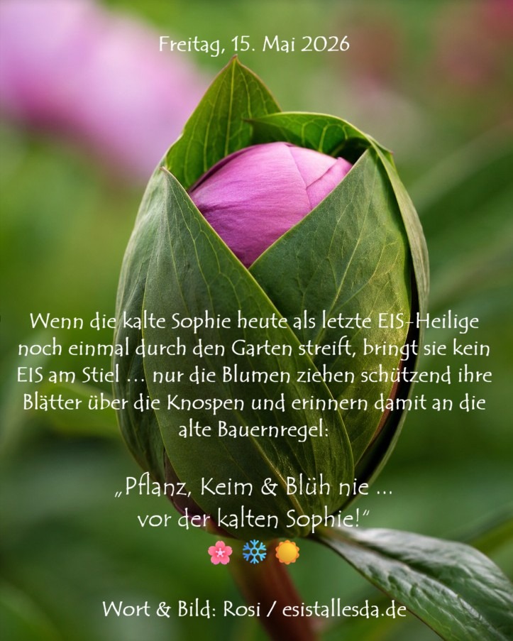 es ist alles da de ... Donnerstag, 14. Mai 2026: Vatertag, Bonifatius und Christi Himmelfahrt. Da weiß man gar nicht, wer zuerst anklopft: die Väter mit dem Bollerwagen, Bonifatius mit wetterfestem Heiligenblick oder Jesus auf dem Weg nach oben. 😉 Jedenfalls scheint heute alles unterwegs zu sein … zwischen Erde, Himmel und guter Laune. Wort und Bild: Rosi/esistallesda.de