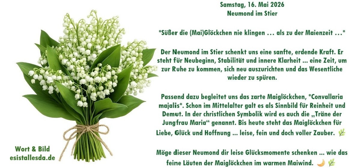 es ist alles da de ... 