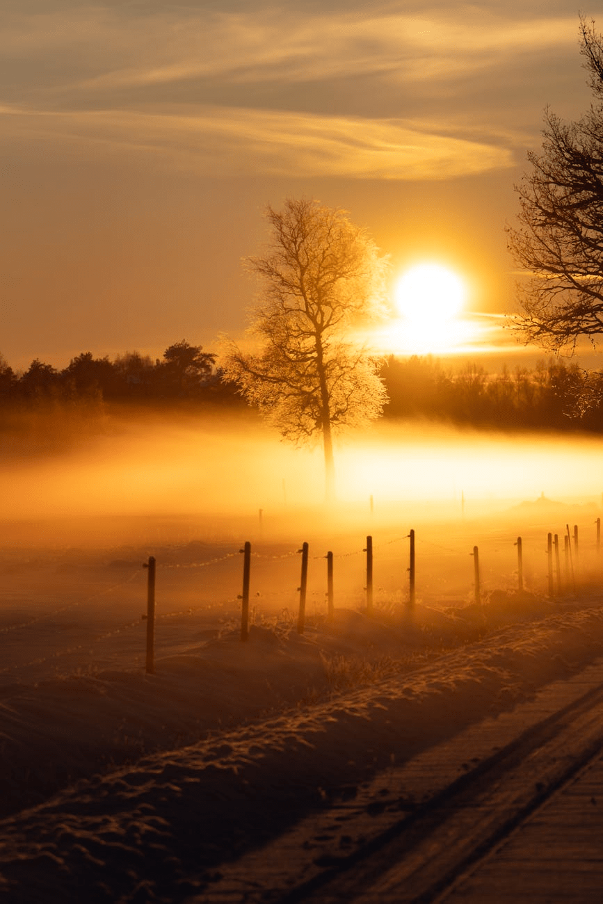 Das Erwachen war eine seltsame Reise … Laura Aboli