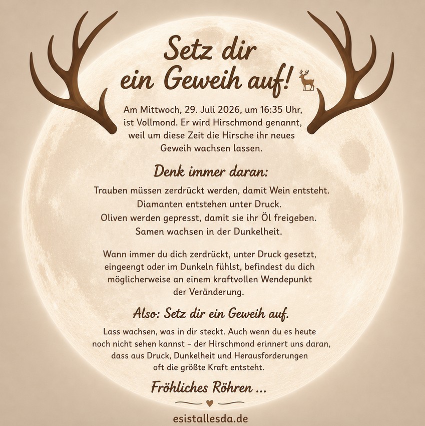 es ist alles da de ... 