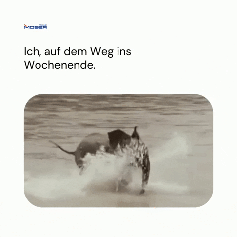 es ist alles da
