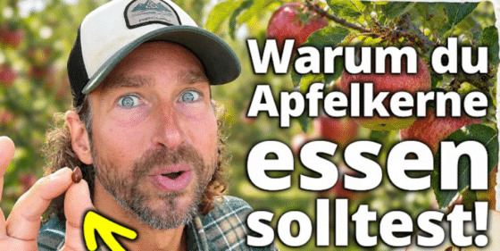 Apfel: Die Wahrheit über die Kerne, die kaum jemand kennt! Timo G.
