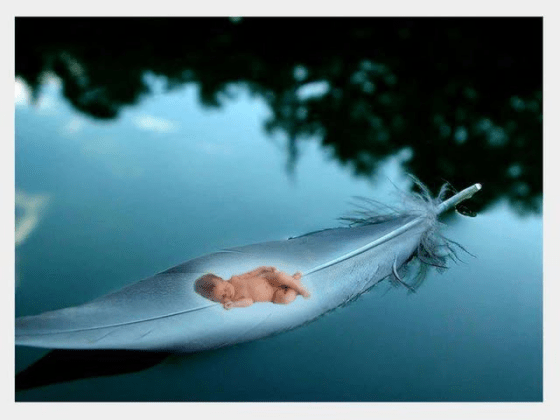 Zwischen Weisheit und Liebe fließt das Leben. Nicky Hamid