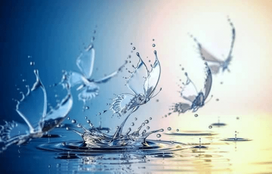 Über die Anhaftung an das „Spirituellsein“. Nicky Hamid