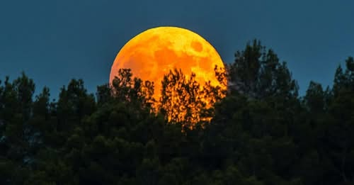 Tagesenergie am 26. September 2026 (MAGISCHER VOLLMOND im WIDDER | ERNTEMOND & SEELENFEUER) Alles ist Energie