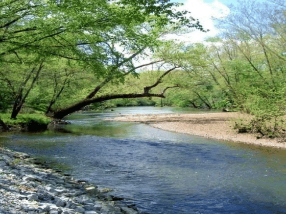 Lass los und vertraue dem Fluss des Lebens. Nicky Hamid