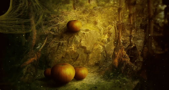 Samhain: Hexentanz, Heilige Hochzeit und die Anderswelt. Alexa Szeli