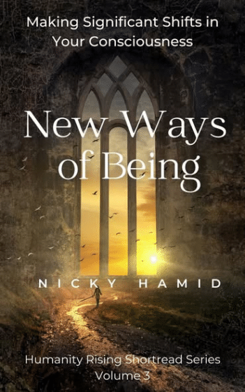 Neue Wege des Seins XVII. Nicky Hamid