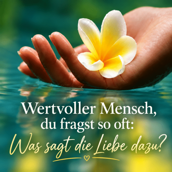 Mit den Augen der Liebe sehen. Nicky Hamid