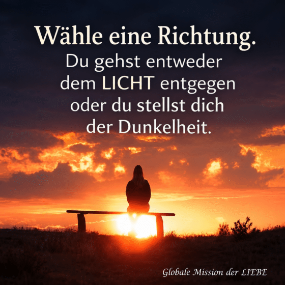 Jetzt ist die Zeit, entschlossen zu handeln! Nicky Hamid