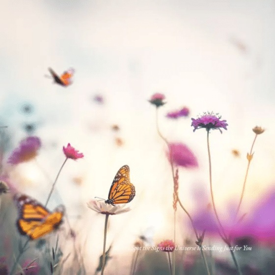 Was du erlaubst. Jennifer Farley