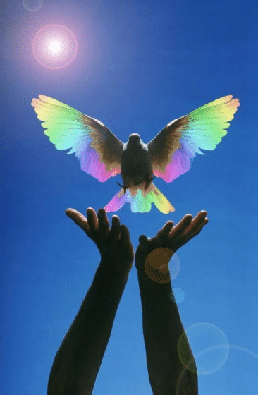 💜 Der Weg zur inneren Freiheit und zur Neuen Erde.Nicky Hamid