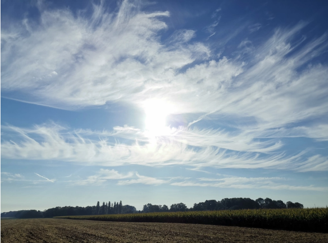 Herzflüsterei, Wochenend-Flüstern