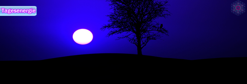 Tagesenergie am 01. November 2020 (November Einflüsse & Blue Moon Nachwirkung – DAS LICHT WAHRNEHMEN)