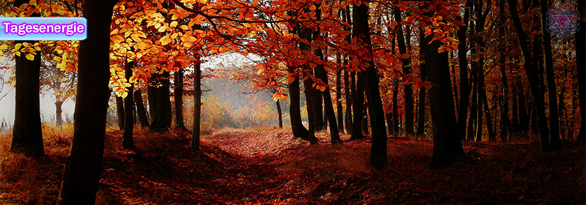 Tagesenergie am 22. September 2020 (Der ASTRONOMISCHE Herbstbeginn || Tagundnachtgleiche)