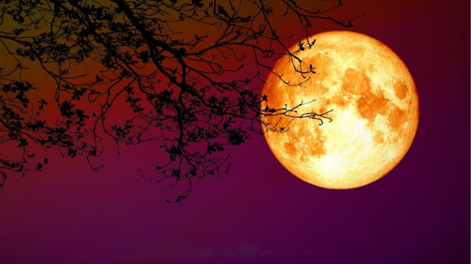 Vollmond-in-Schuetze